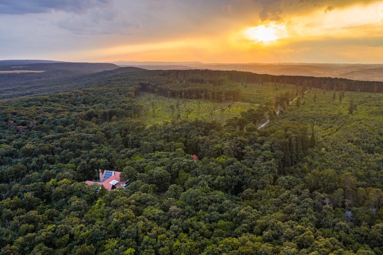 Zseri Vadászház Hotel Fehérvárcsurgó Kültér fotó