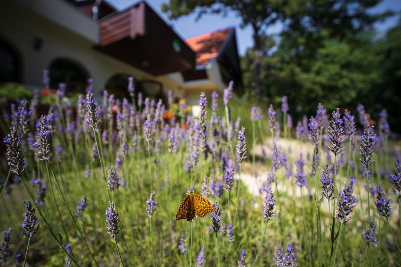 Zseri Vadászház Hotel Fehérvárcsurgó Kültér fotó